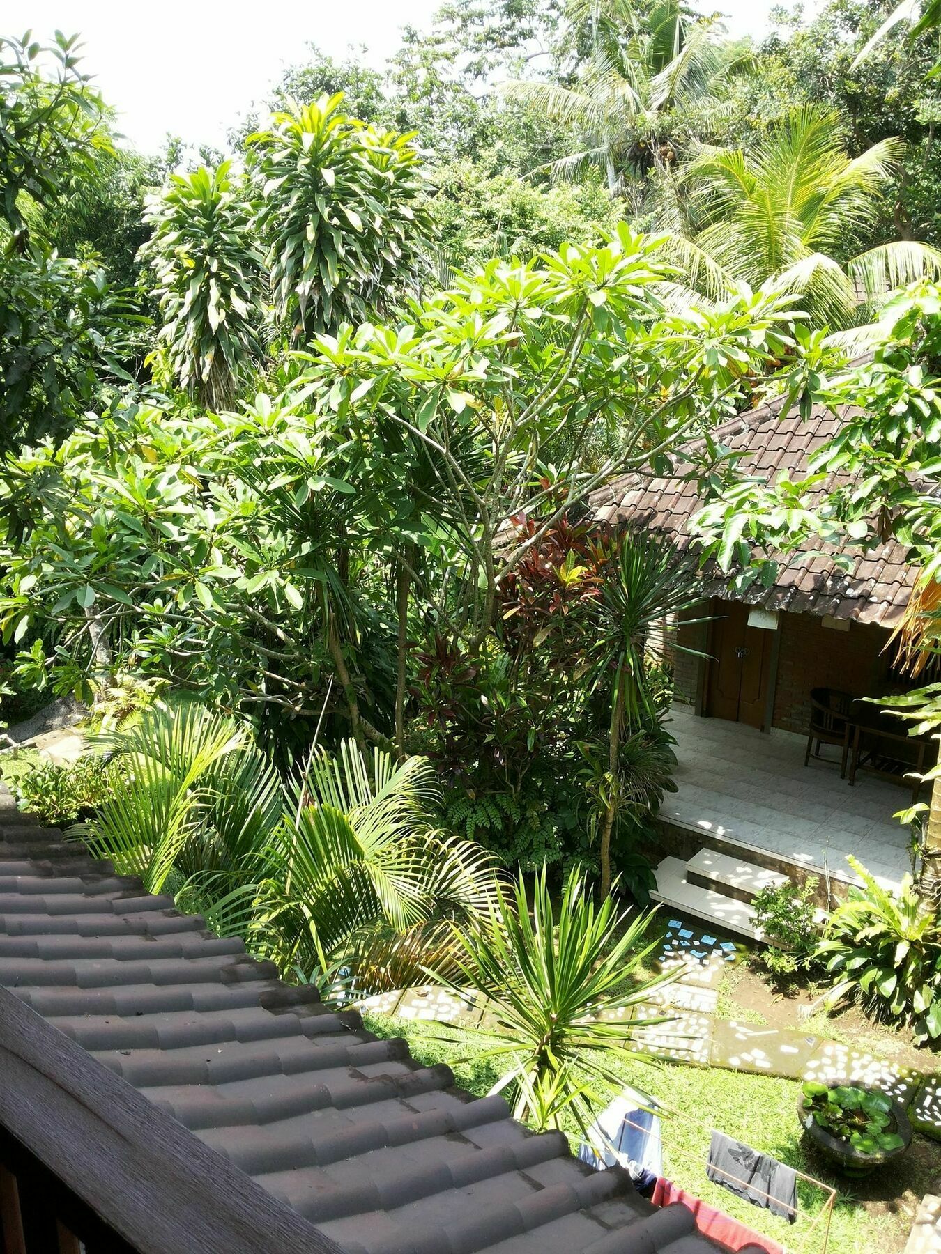 Ben's Ubud